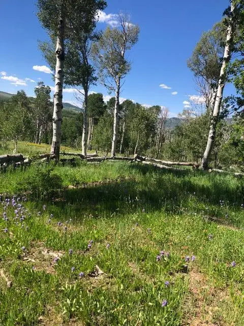 20 Acres Miners Peak, Cedar City, UT 84720 - Image #3