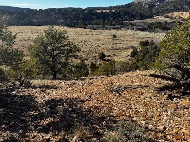 Briar Patch Lane, Kanab, UT 84741 - #1