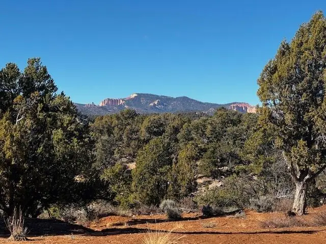 Briar Patch Lane, Kanab, UT 84741 - #2