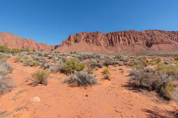 815 W Kumo Ct, Ivins, UT 84738