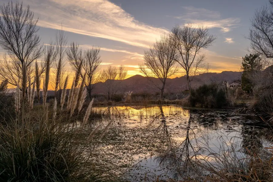 779 S Silver Valley Rd, Leeds, UT 84746 - #2