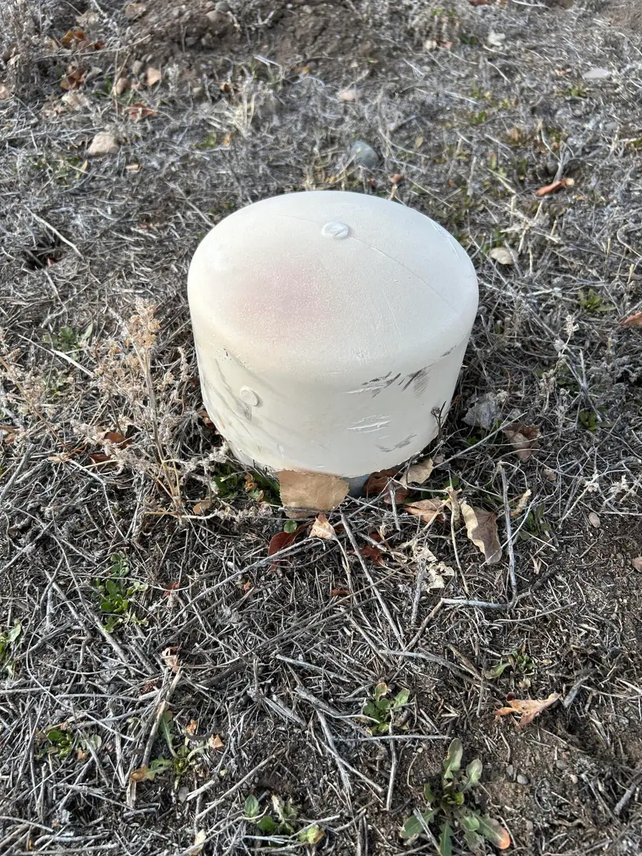 67 N 300 W, Panguitch, UT 84759 - #3