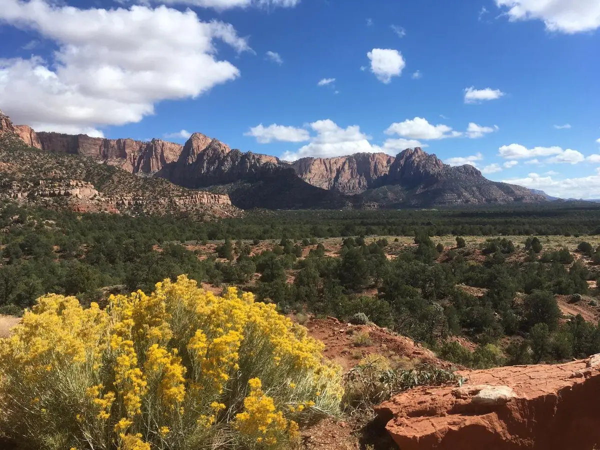 E Rnch Rd, Hurricane, UT 84737 - #1