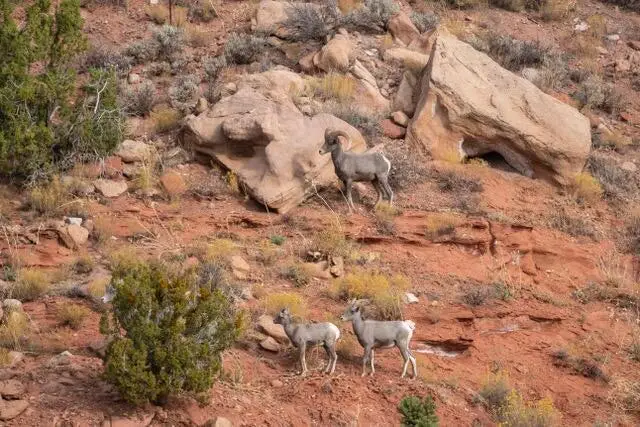 E Rnch Rd, Hurricane, UT 84737 - #3