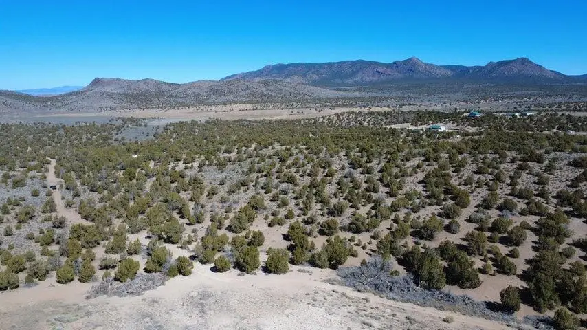 10 Acres, Power, Water Right, Newcastle, UT 84756 - #2