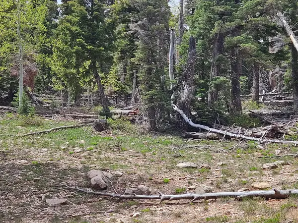 6250 W Brook Ln, Duck Creek, UT 84762