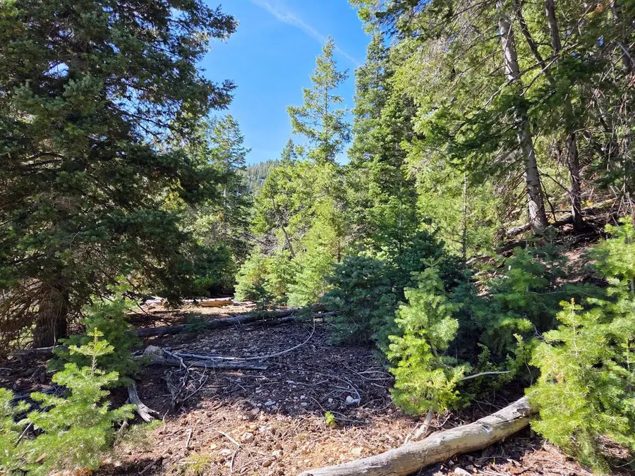 Lot 42 Bonnie Green Dr, Duck Creek, UT 84762 - #3