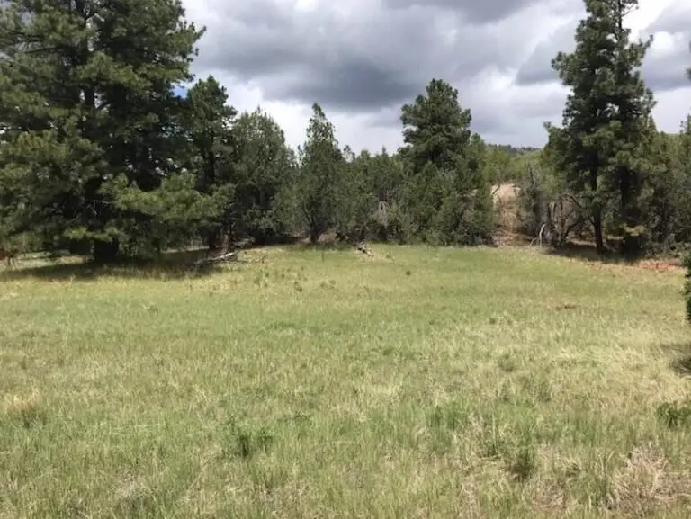 2655 E Cedar Dr, Kolob, UT 84767 - #1