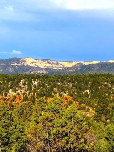 5.02 Acres Francis Street, Duck Creek, UT 84762