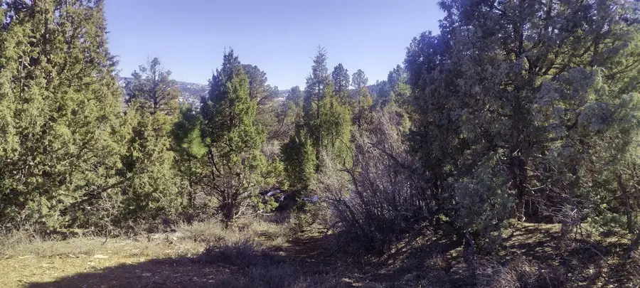 5.02 Acres Francis Street, Duck Creek Village, UT 84762 - #3