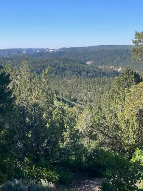 LOT 13 Fitzwater, Kolob, UT 84767 - #3