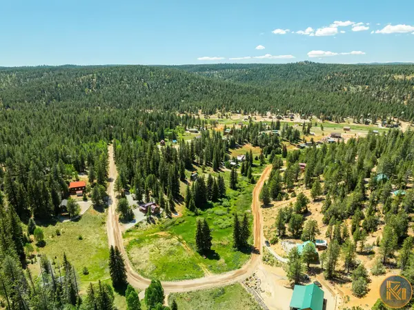 45 / 65 N Apollo Trail, Duck Creek, UT 84762