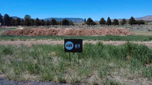 1.25 Acre Parcel #e-cwr-2-9, Enterprise, UT 84725