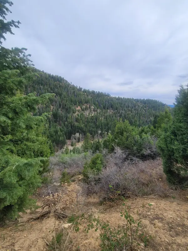 Lot 71 W Sky Haven Mountain Retreat, Duck Creek, UT 84762