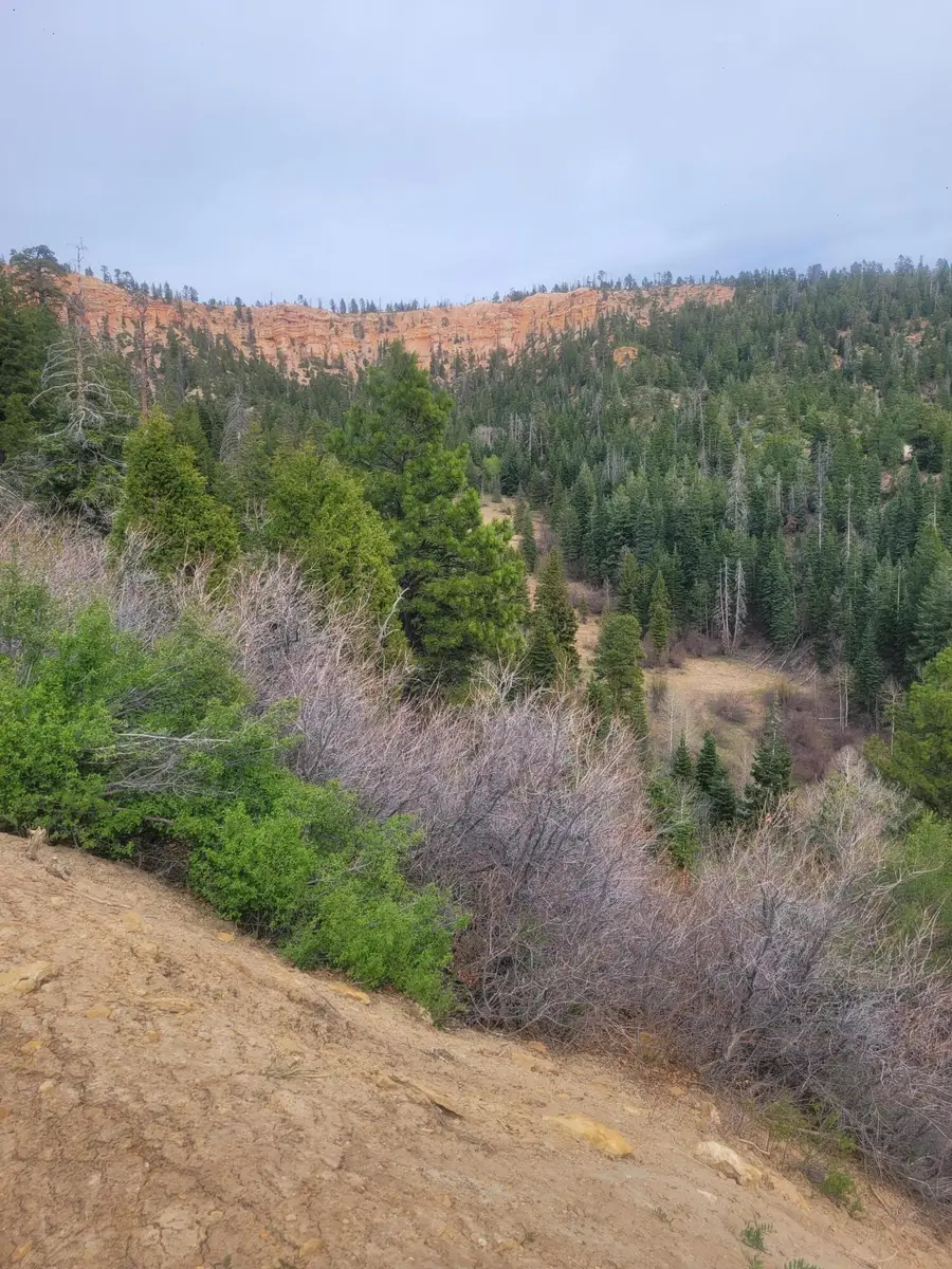 Lot 71 W Sky Haven Mountain Retreat, Duck Creek Village, UT 84762 - #2