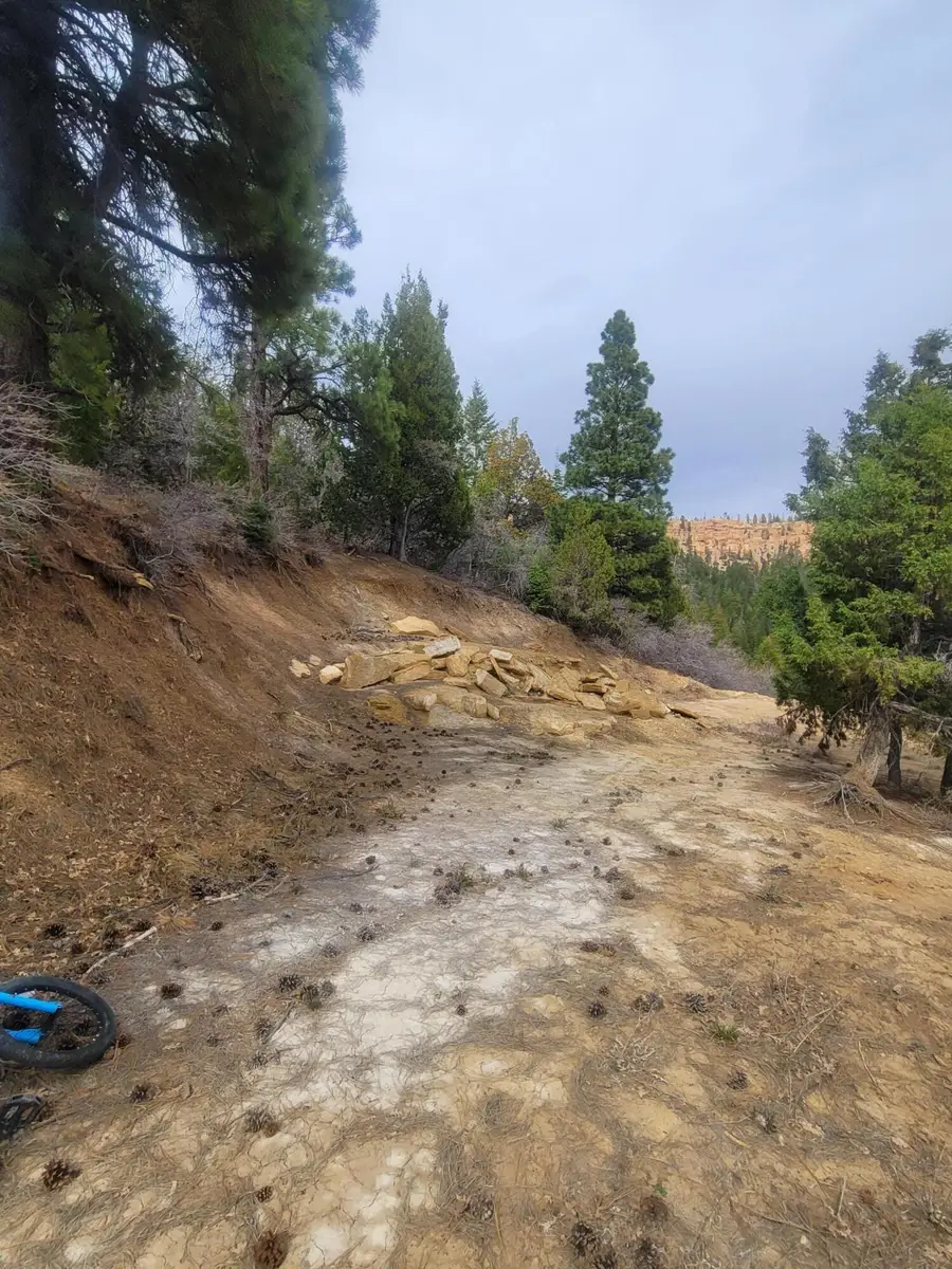 Lot 71 W Sky Haven Mountain Retreat, Duck Creek Village, UT 84762 - #3