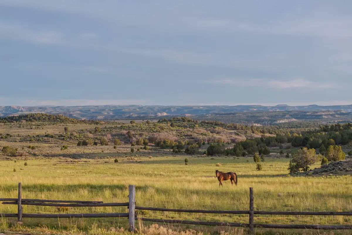 403 Mineral Spring Rd, Mount Carmel, UT 84755 - #1