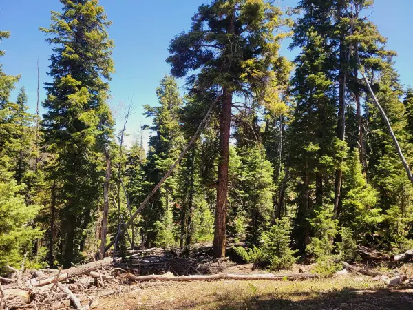 880 W Shale Cir, Duck Creek, UT 84762