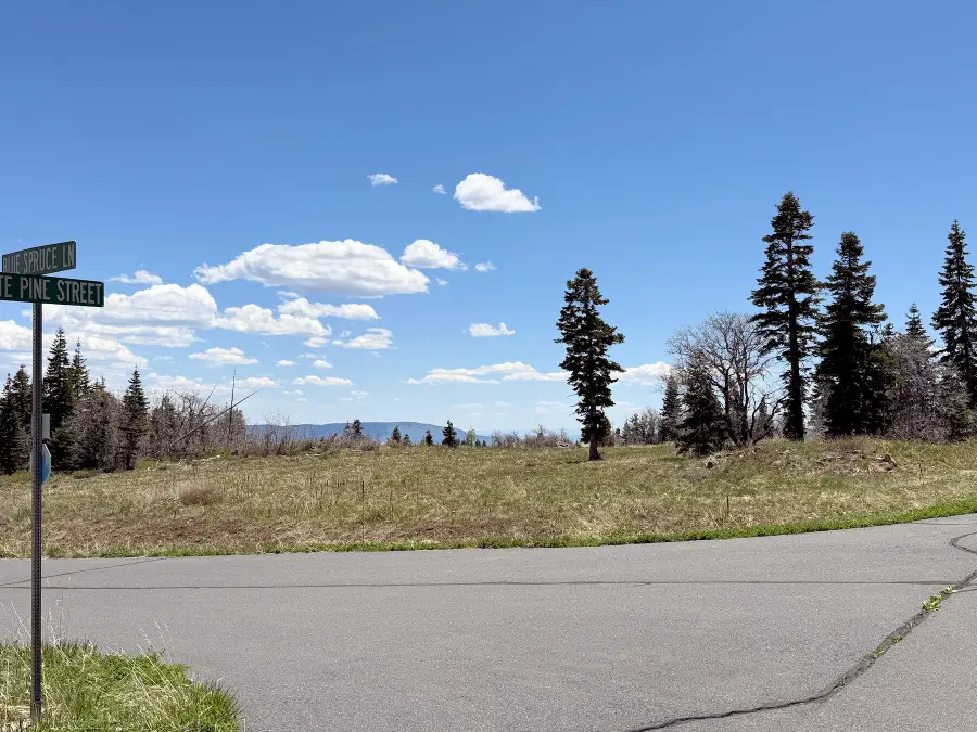 403 W Blue Spruce Dr., Virgin, UT 84779 - #2