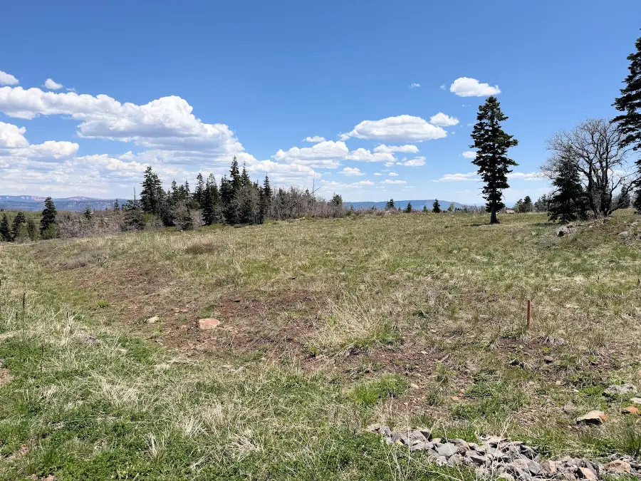 403 W Blue Spruce Dr., Virgin, UT 84779 - #3