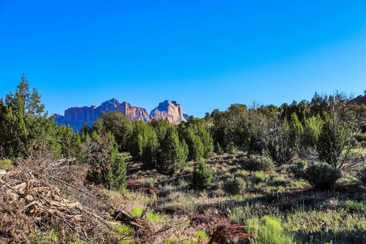 Kayenta Ave, Rockville, UT 84763 - #1