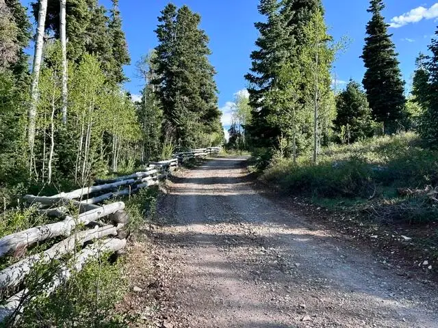 40 Acres Near Kolob Reservoir, Kolob, UT 84767 - #2