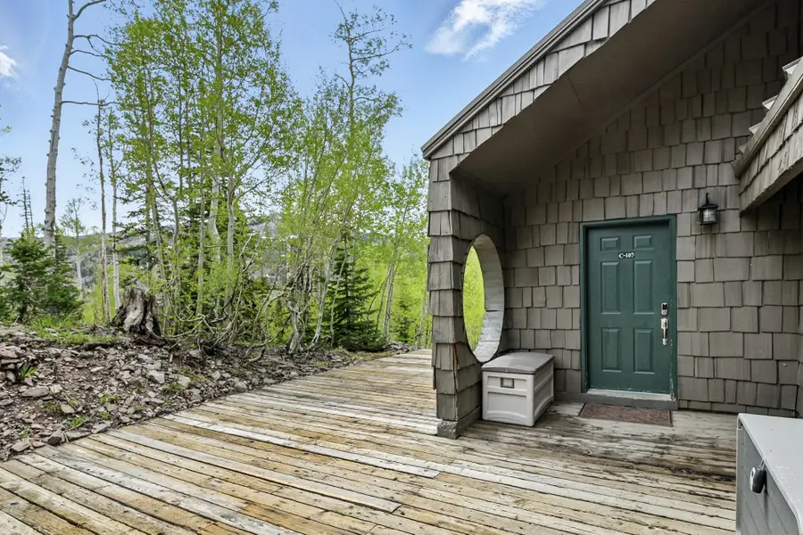286 W Eagles Roost St #C107, Brian Head, UT 84719 - #2