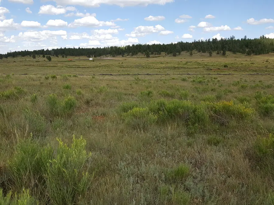 E Meadow Lane, Duck Creek Village, UT 84762 - #2