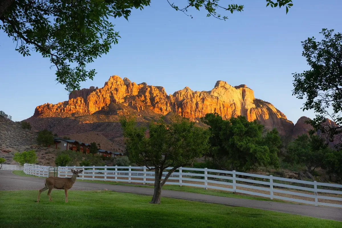 2428 Zion Park Blvd, Springdale, UT 84767 - #1