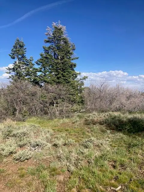 271 N Whispering Pines Rd, Kolob, UT 84767 - #3