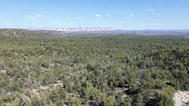 Mile 51 Highway 9 East Zion 40 Acres, Orderville, UT 84758 - #1