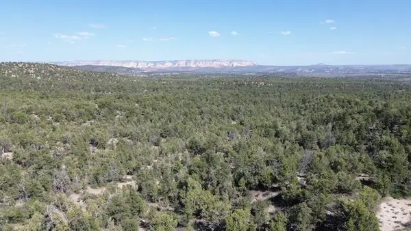 Mile 51 Highway 9 East Zion 40 Acres, Orderville, UT 84758