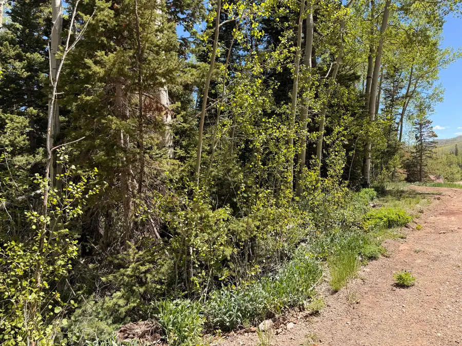 308 W Spruce St, Brian Head, UT 84719 - #2