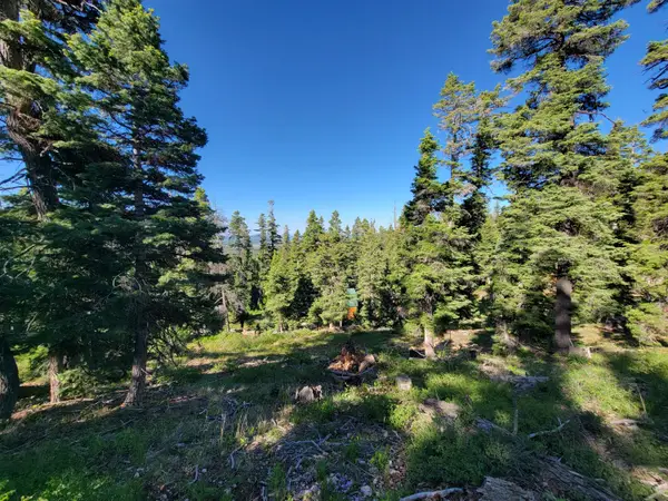 6220 W Brook Ln, Duck Creek, UT 84762