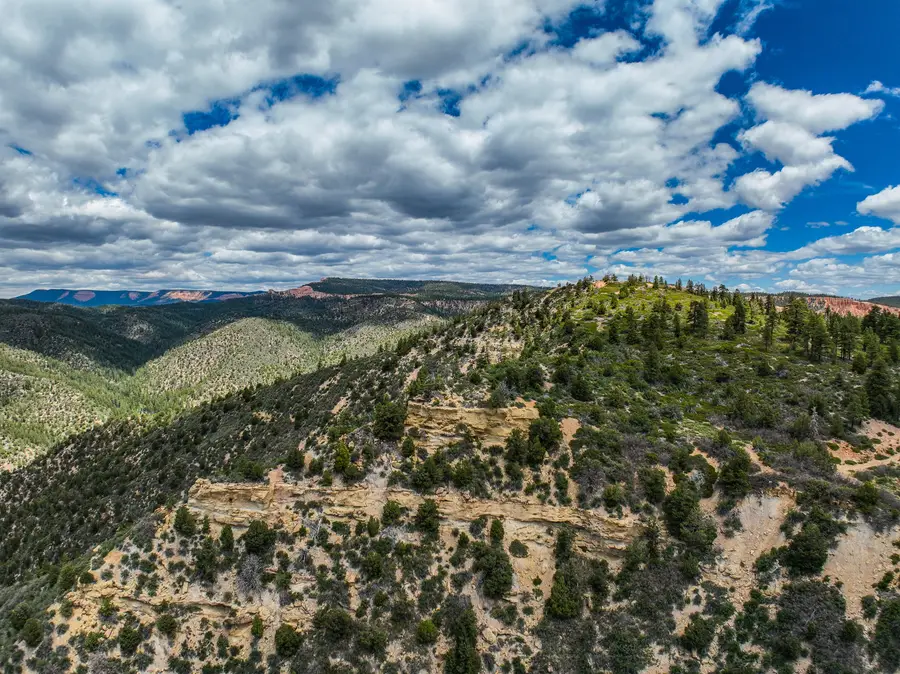 Address Withheld By Seller, Duck Creek, UT 84762 - #3