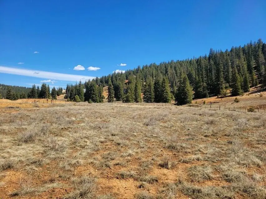 520 N Grassy Trail, Duck Creek Village, UT 84762 - #3