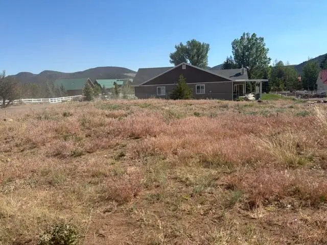 133 S Terry Parkway, Pine Valley, UT 84781 - #3