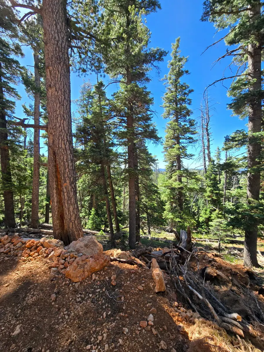 6065 W Brook Ln, Duck Creek Village, UT 84762 - #3