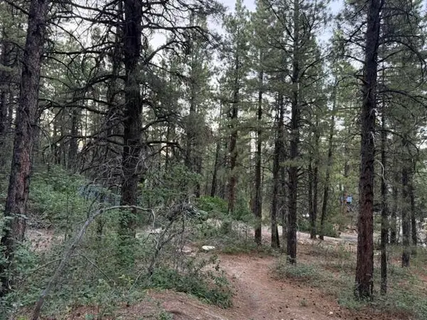 137 N Kolob Pines Dr, Kolob, UT 84767