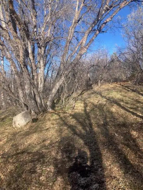 1 Acre Lot N Kiwi Ln #102-A-2-C-HV, Kolob, UT 84767