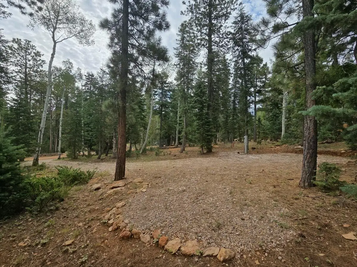 3135 N Power Line Rd, Duck Creek Village, UT 84762 - #1