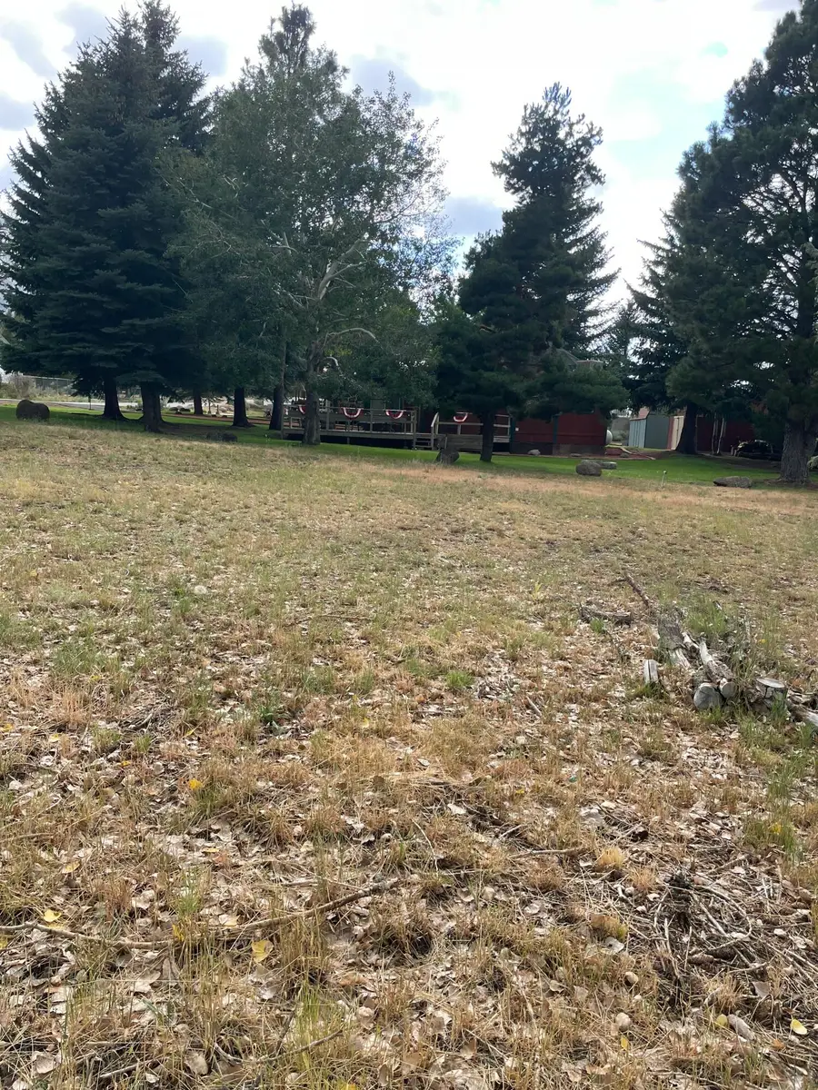 875 E Mountain View Dr, Pine Valley, UT 84781 - #2