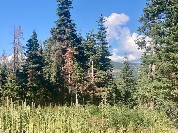 532 W Spring Dr #77, Kolob, UT 84767
