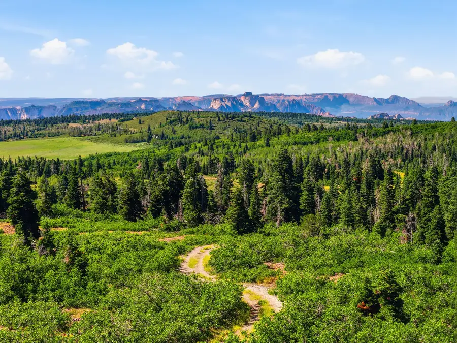 1063 W Kolob Ranch Dr, Kolob, UT 84767 - #3