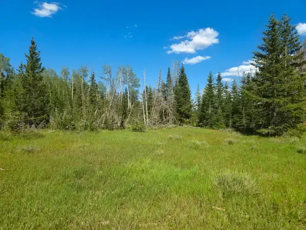 2397 Rainbow Ln, Brian Head, UT 84719