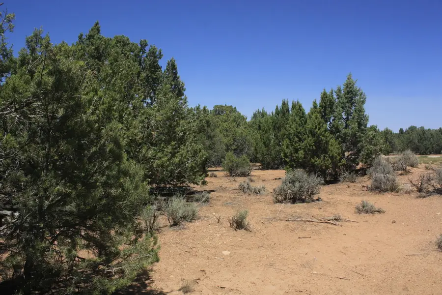 17729 W Harmony Ln, Cedar City, UT 84720 - #2