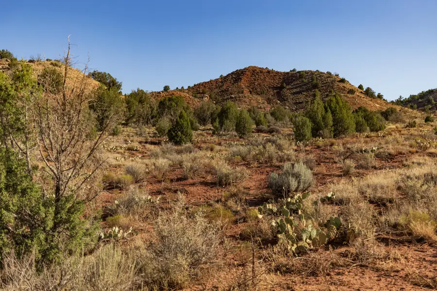 Rockville Mesa #R-1308-4, Rockville, UT 84763 - #2