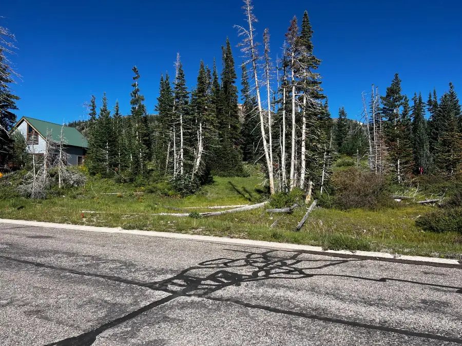 1075 S Bristlecone Ln, Brian Head, UT 84719 - #3