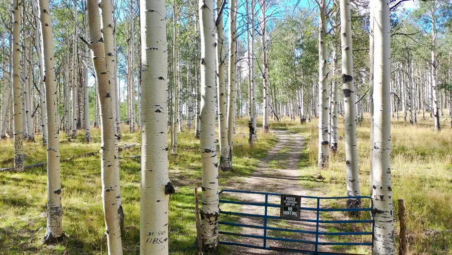 49.72 Acres Above Cedar, Cedar City, UT 84720 - #2