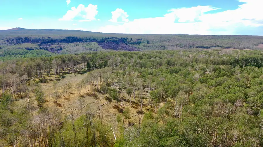 49.72 Acres Above Cedar, Cedar City, UT 84720 - #3